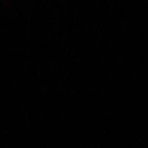 Meet your Posher, Dayton